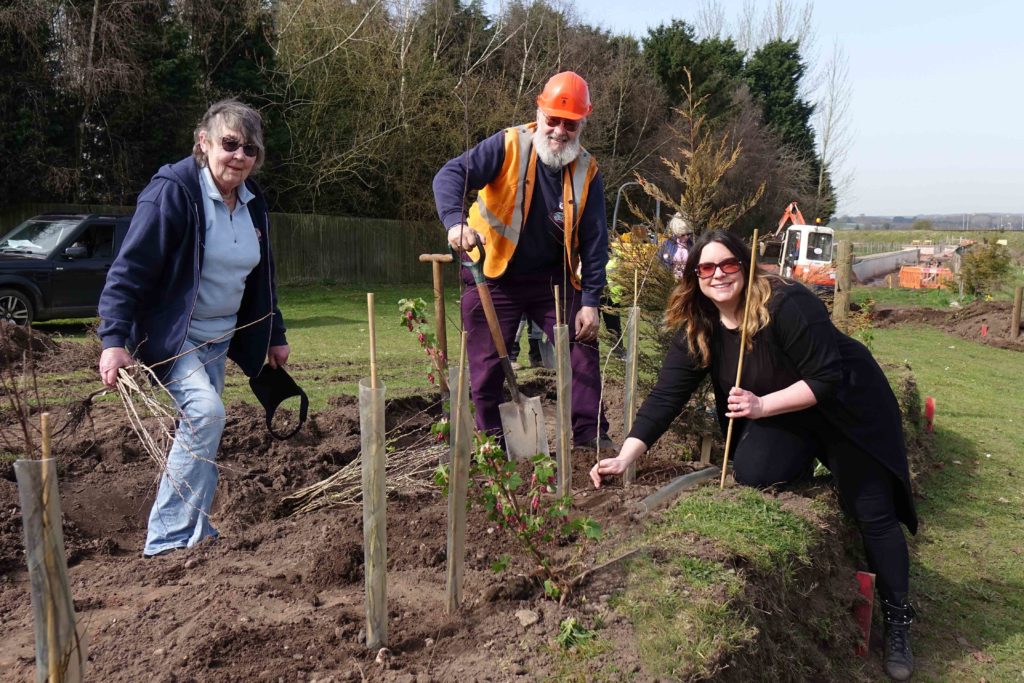 Three volunteers planing hedges for the Pebble Fund